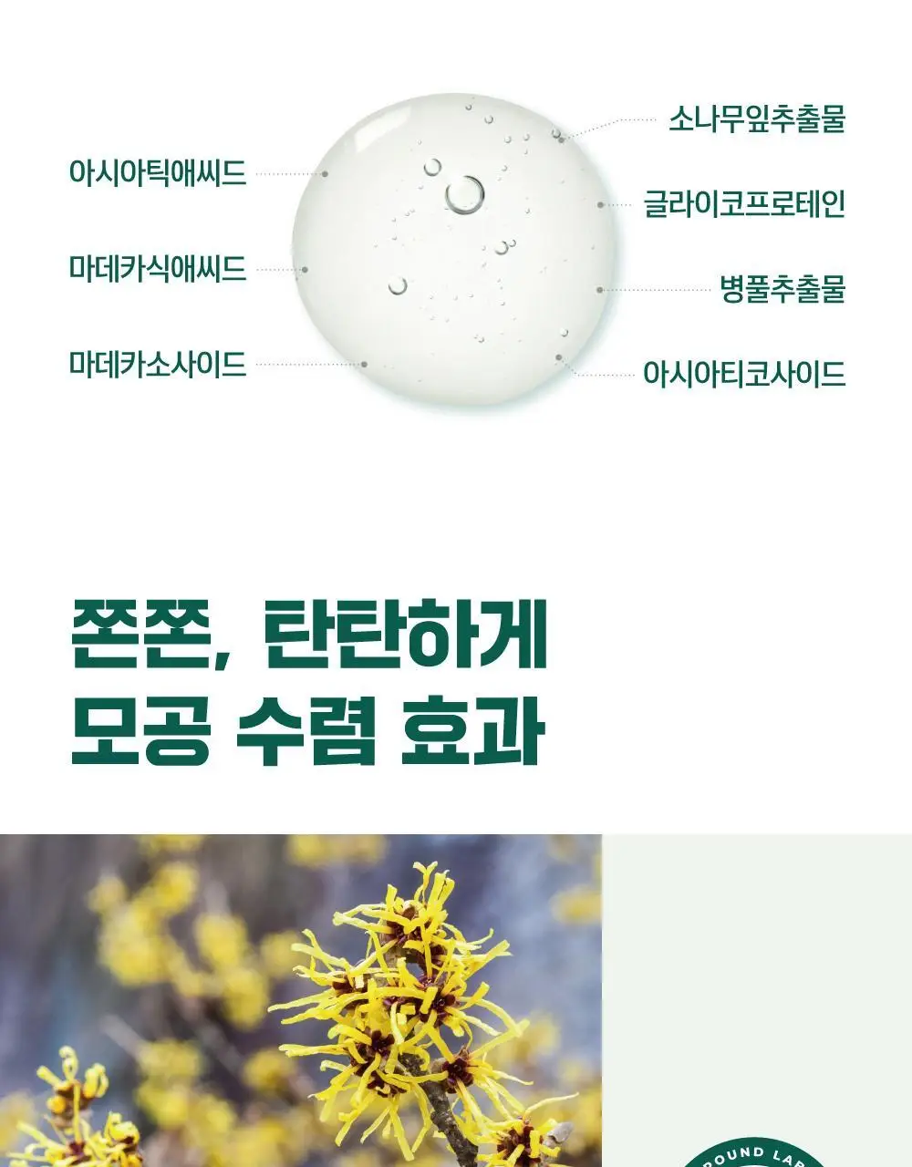 [블랙헤드/피지모공] 라운드랩 소나무 진정 시카 바이오셀룰로오스 코팩 5매 상세페이지 19